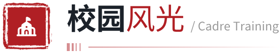校园风光